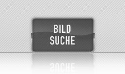 Bildsuche