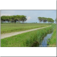 Bibione_06629046.jpg