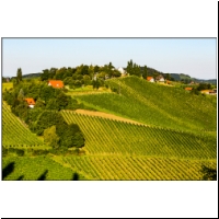 Weintour_024.jpg