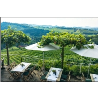 Weintour_064.jpg