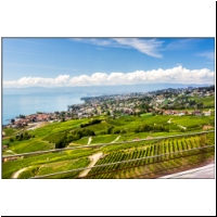 Lavaux-007.jpg