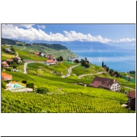 Lavaux-015.jpg