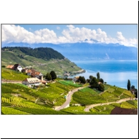 Lavaux-017.jpg