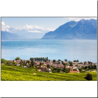 Lavaux-026.jpg