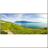 Lavaux-067.jpg