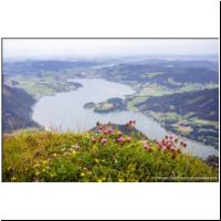 Schafbergbahn-024.jpg