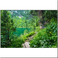 Scheibelsee-049.jpg