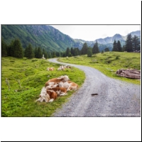 Scheibelsee-066.jpg