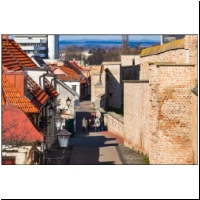 Trnava_024.jpg