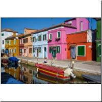 Venedig_Burano_06882120.jpg