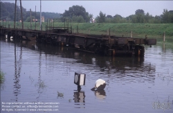 Viennaslide-00316104 Wien, Alberner Hafen, Donauüberschwemmung, 9.8.1985