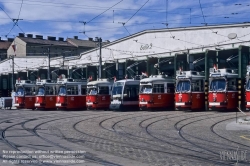 Viennaslide-03724171 Wien, Strassenbahnremise Favoriten, geschmückte Züge zur sozialdemokratischen Parade zum 1. Mai - Vienna, Tramway Depot, 1st May Parade