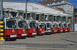 Viennaslide-03724174 Wien, Strassenbahnremise Favoriten, geschmückte Züge zur sozialdemokratischen Parade zum 1. Mai - Vienna, Tramway Depot, 1st May Parade