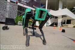 Viennaslide-04412258 Linz, Ars Electronica, Boston Dynamic Spot Robot
