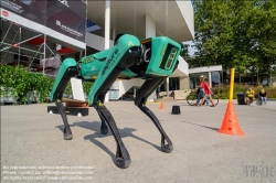 Viennaslide-04412259 Linz, Ars Electronica, Boston Dynamic Spot Robot