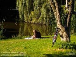 Viennaslide-05912106 Amsterdam, Vondelpark, ein Mann am Ufer des Teichs