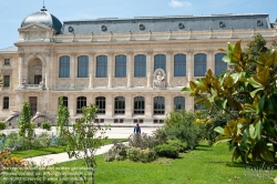 Viennaslide-05338211 Das Muséum national d’histoire naturelle (Sigel: MNHN) ist ein staatliches französisches Naturkundemuseum, an das eine Forschungs- und Bildungseinrichtung für Bio- und Geowissenschaften angeschlossen ist. Das Naturkundemuseum wurde am 10. Juni 1793 gegründet, es hat den Status eines grand établissement und untersteht dem französischen Bildungs-, Forschungs- und Umweltministerium. Der Hauptsitz befindet sich in Paris, im Laufe der Geschichte kamen weitere Dependancen in Paris und in ganz Frankreich hinzu.