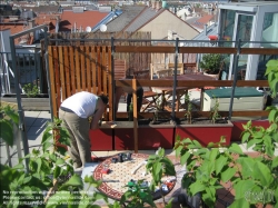 Viennaslide-78315048 Umbau einer Terrasse zum Dachgarten - Conversion of a Terrace to a Rooftop Garden