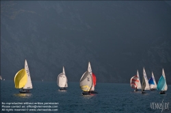 Viennaslide-92120146 Segelregatta - Sailing Regatta