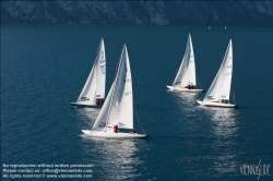Viennaslide-92120148 Segelregatta - Sailing Regatta
