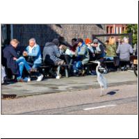 Interrail-4_Amsterdam_019.JPG