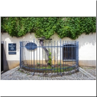 Maribor_008.jpg