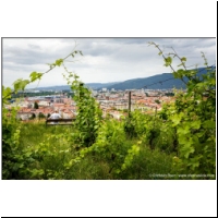 Maribor_072.jpg