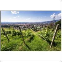 Maribor_155.jpg