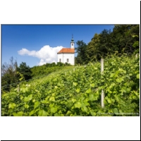 Maribor_156.jpg