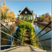 Strasbourg_71324733.jpg