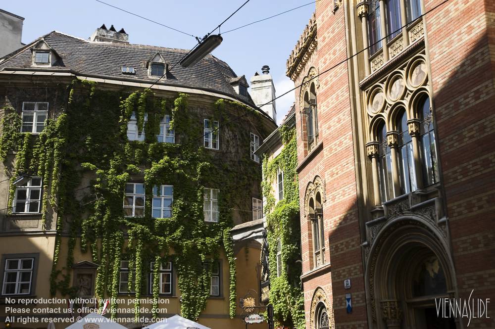Viennaslide 00010226 jpg