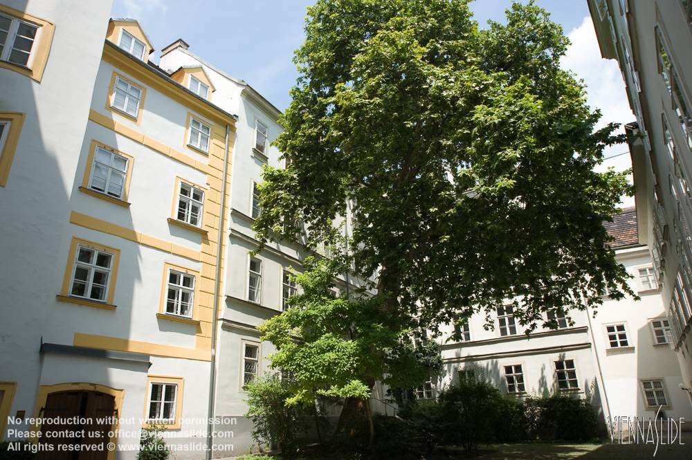 Viennaslide 00010257 jpg