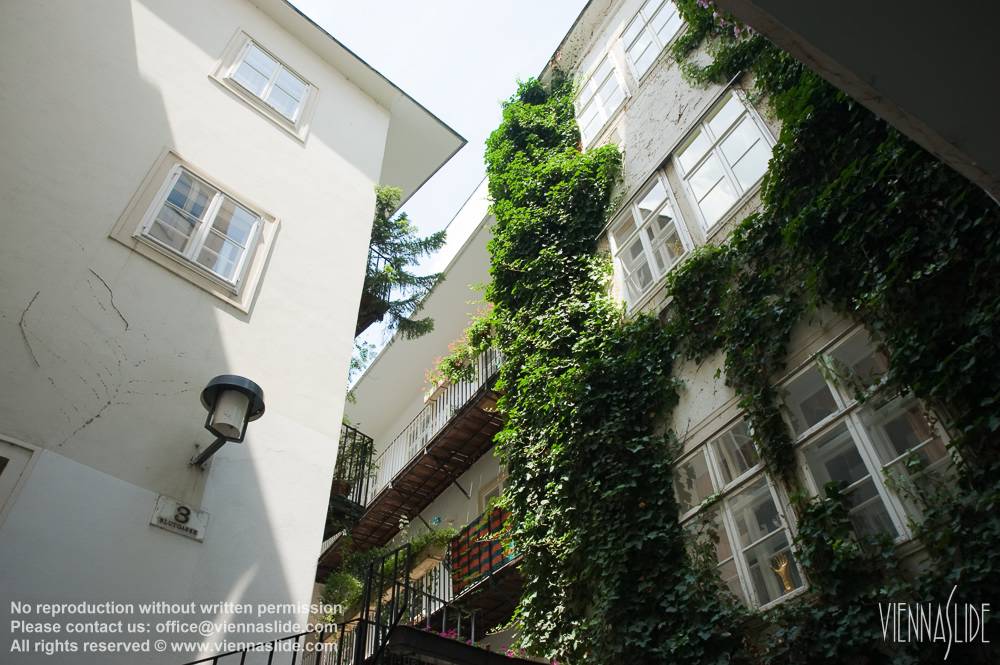 Viennaslide 00010263 jpg