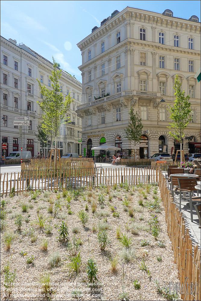 Viennaslide 00010659 jpg