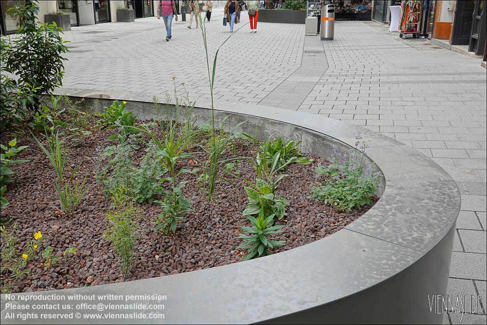 Viennaslide 00010665 jpg