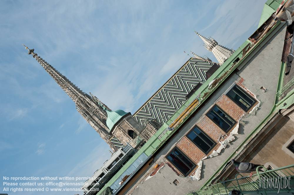 Viennaslide 00017130 jpg