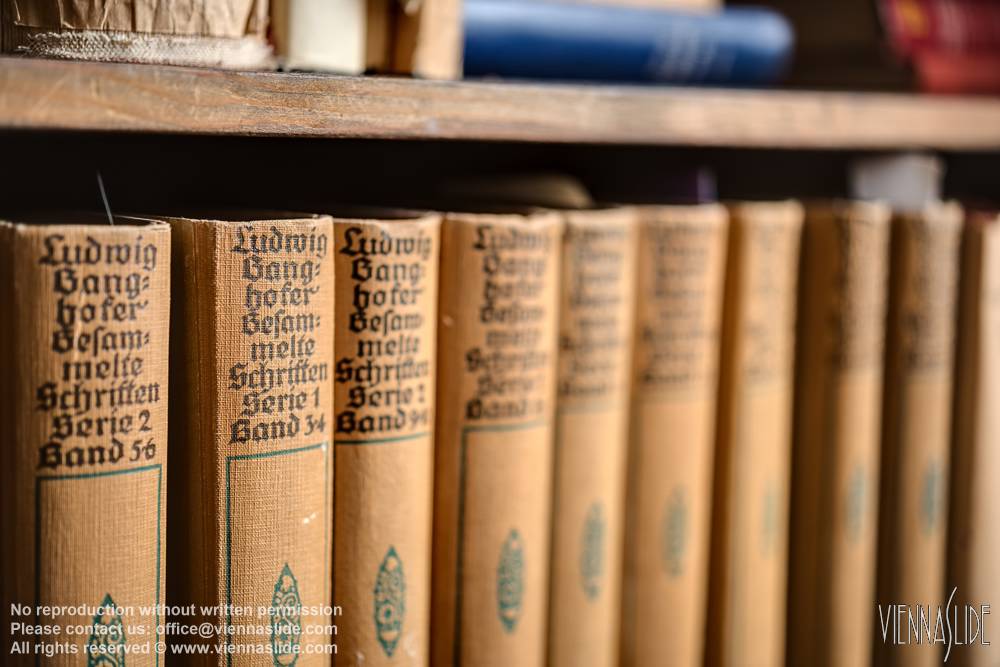 Viennaslide 00017436f jpg