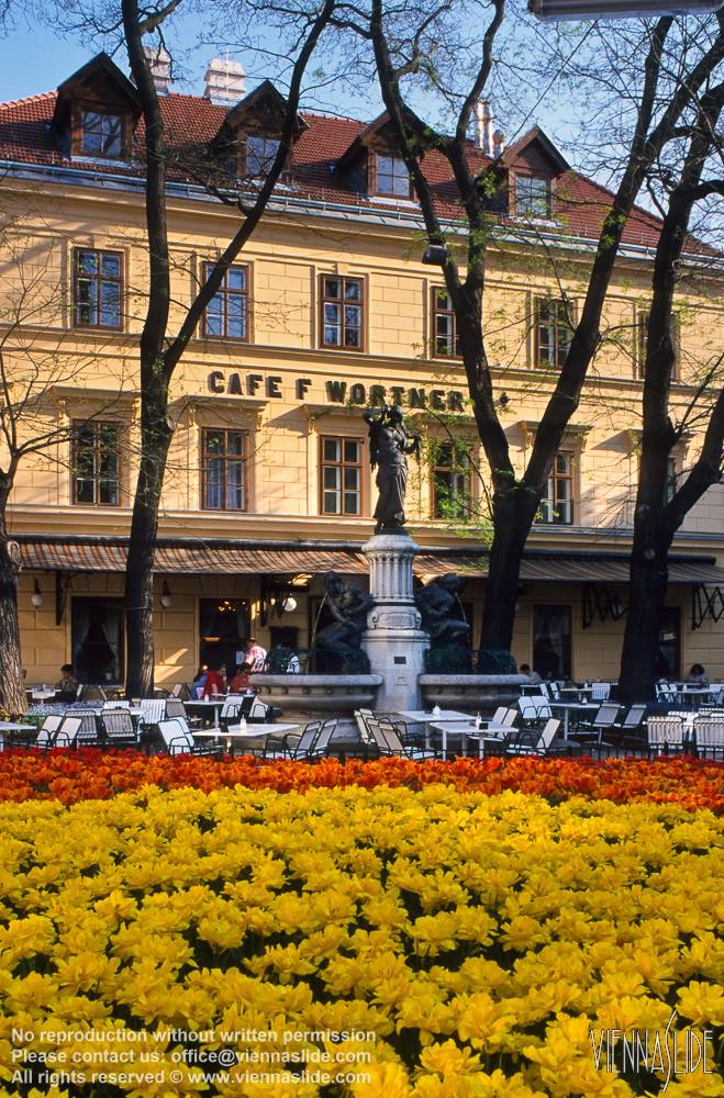 Viennaslide 00040116 jpg