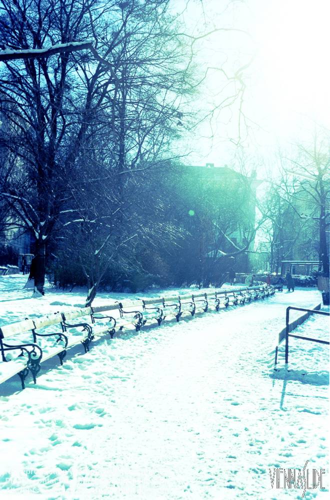 Viennaslide 00040122 jpg