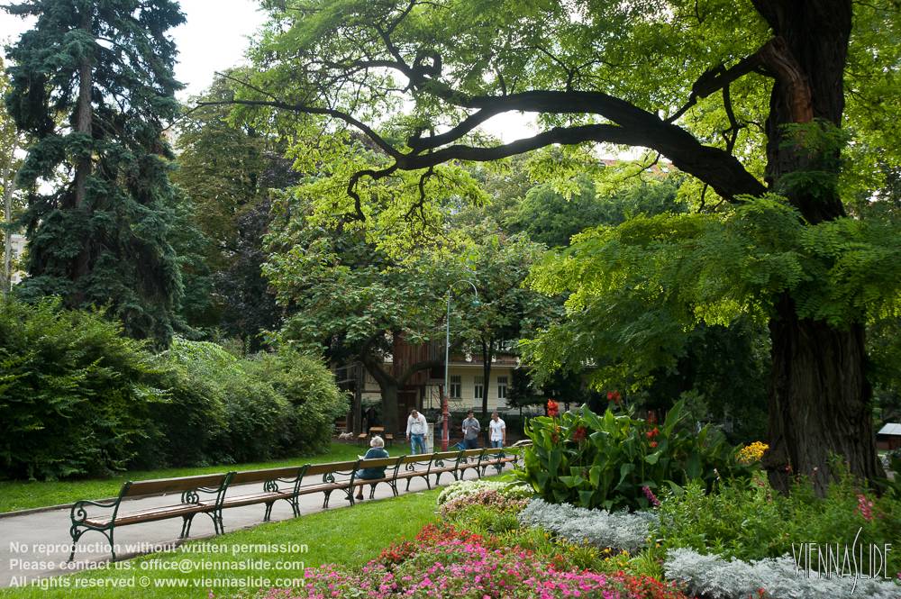 Viennaslide 00040164 jpg