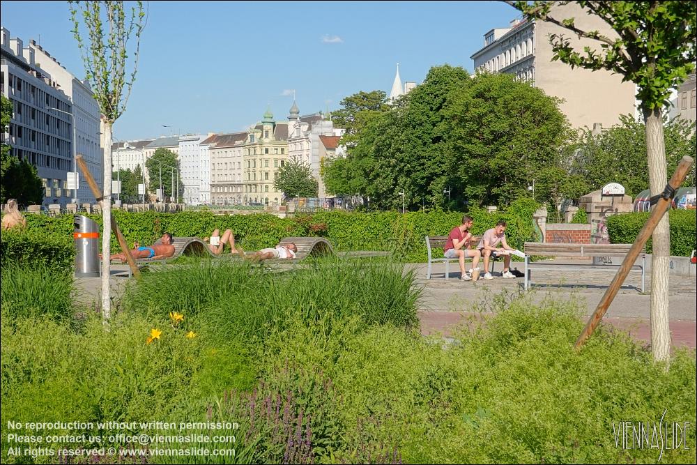 Viennaslide 00060252 jpg