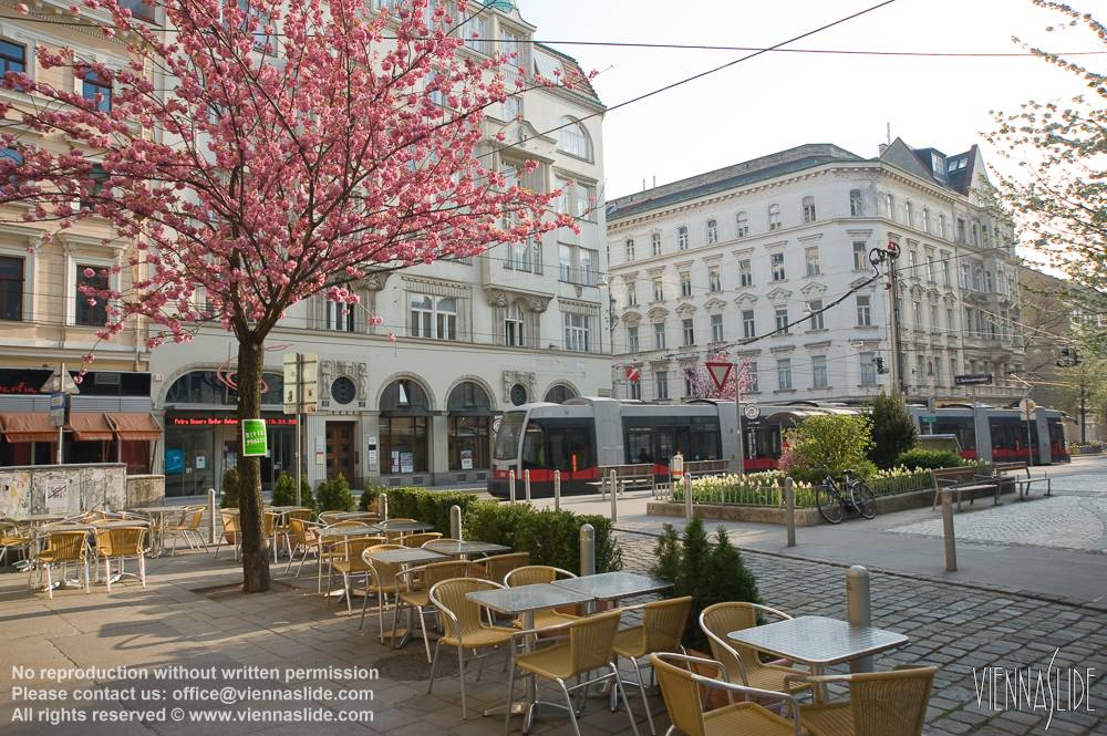 Viennaslide 00070159 jpg