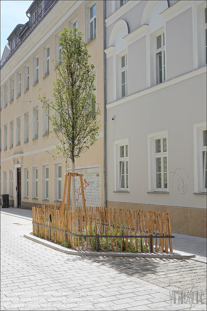 Viennaslide 00070252 jpg