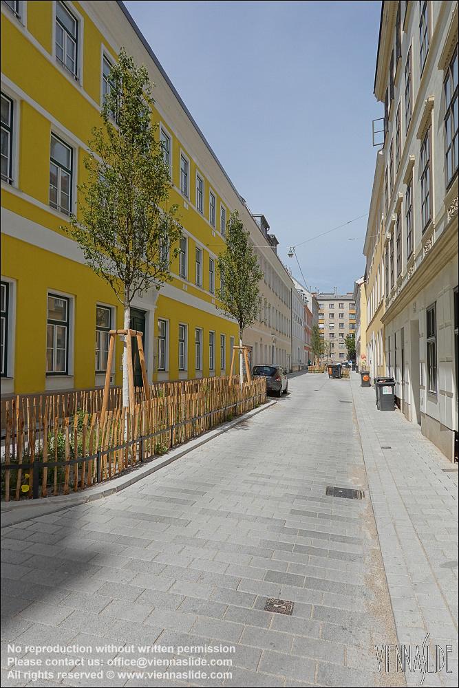 Viennaslide 00070258 jpg