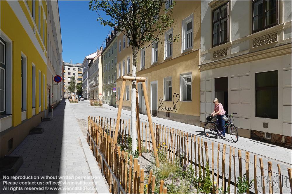 Viennaslide 00070264 jpg