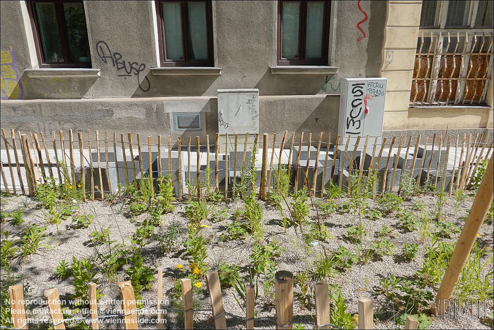 Viennaslide 00070274 jpg