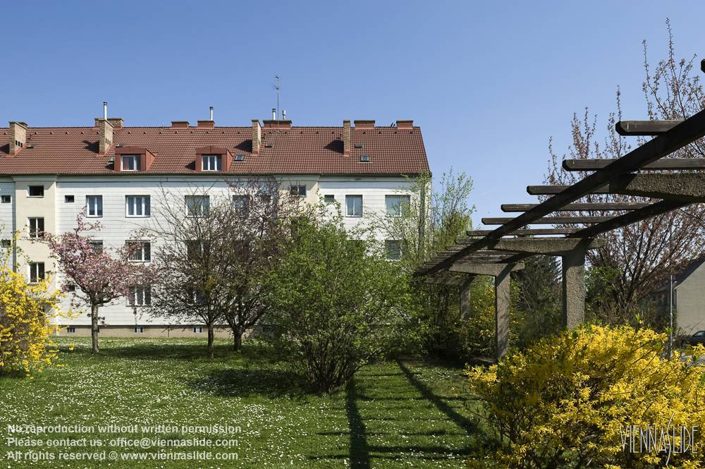 Viennaslide 00103114 jpg