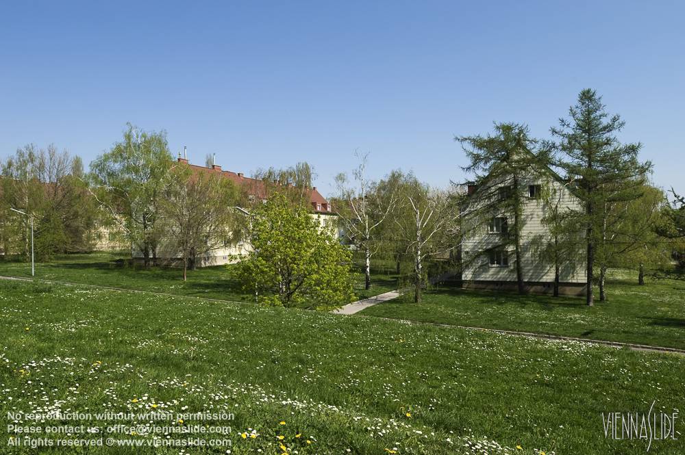 Viennaslide 00103129 jpg