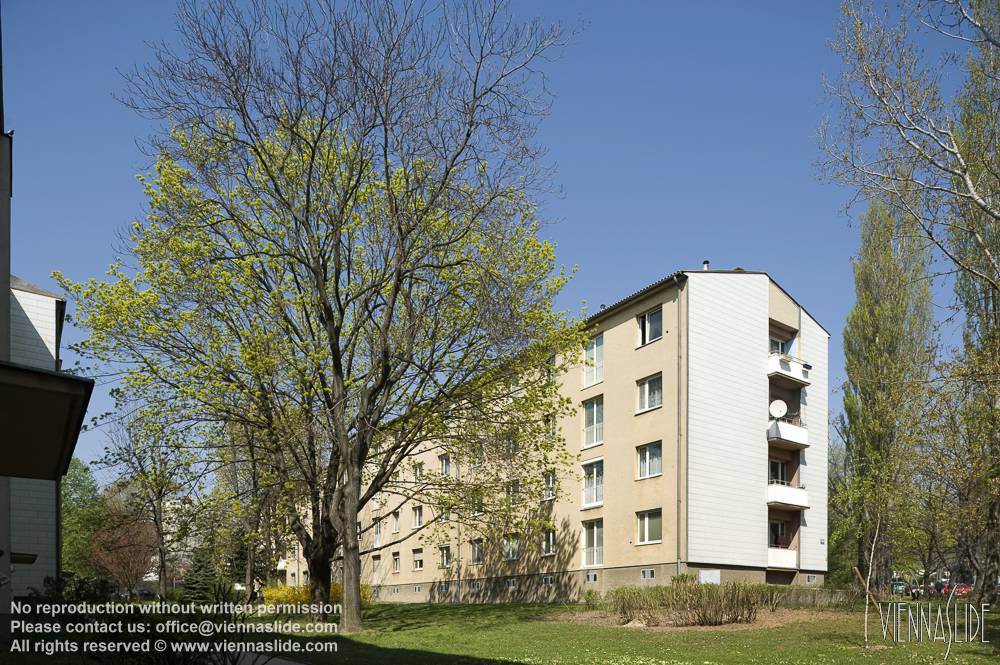 Viennaslide 00103151 jpg