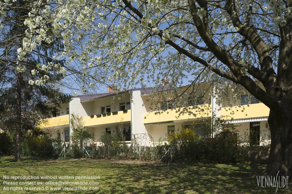 Viennaslide 00103174 jpg